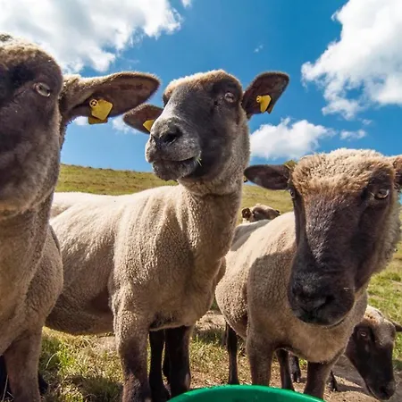 Διαμέρισμα 