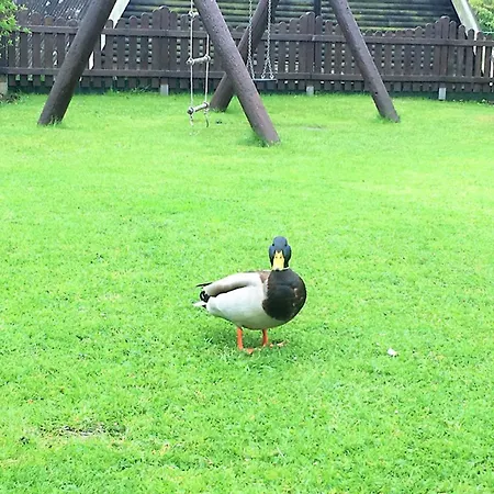 Διαμέρισμα 